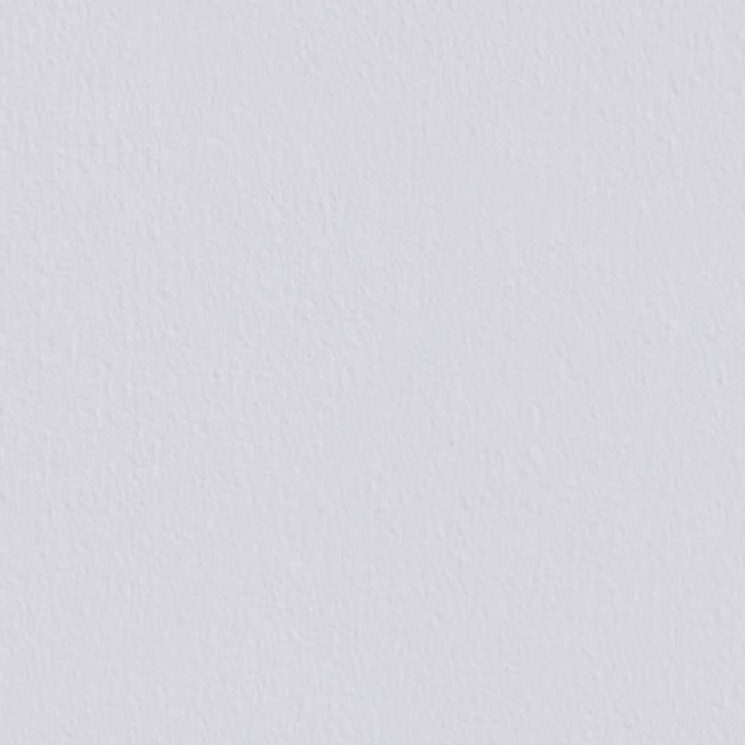Erfurt Variovlies FLAT Premium 170g Zellulose-Glattvlies 25X0.75 Tapete 1003706