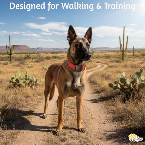 Image of ADITYNA Leather Dog Collar for Medium & Large Dogs, Adjustable 15-21 inch Neck | Padded, heavy-duty metal buckle. Great for walking, training and hiking - ideal for Labrador, Boxer, Pitbull and Collie.