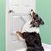Large Vinyl Door Guard For Dog Scratching - 33" X 35"