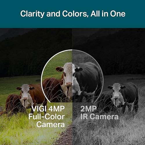 Image of TP-Link VIGI C540-4G 4MP HD Outdoor Full-Color Pan Tilt Network Camera | IP66 Waterproof | 360 Monitoring | Two-Way Audio | H.265+ | 4mm Lens | Remote Management CCTV