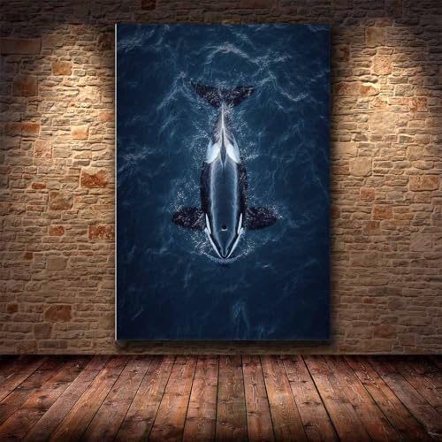 Poster orque océan bleu et blanc CUDAOO 20x30cm encadré pour salon - 4