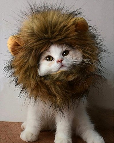 RosyLife Lion Mane Wig for Dog and Cat Costume