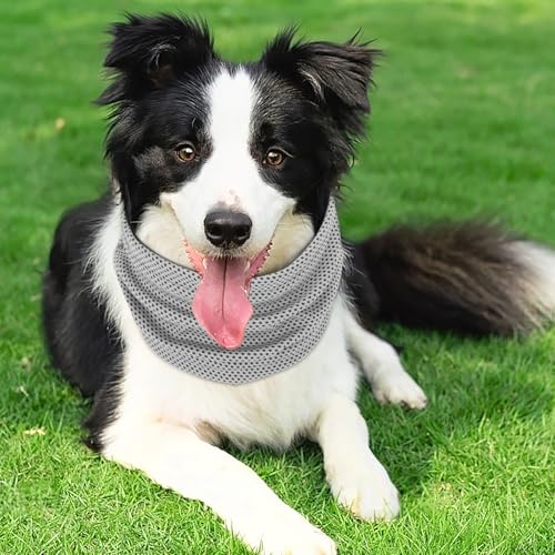 Kühlhalsband für Hunde, Hunde halstücher Kühlend, Hundehalsband Kühlend, Kühlendes Hundehalsband, Geeignet für Kühlhunde im Sommer, 45 x 13 cm