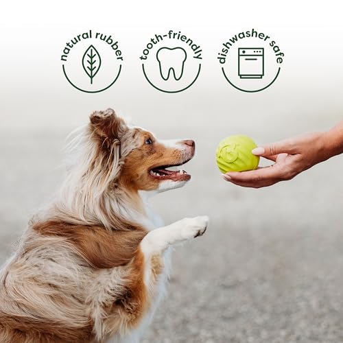 Image of Benebone 4-Pack Ball /Bone /Bacon Wishbone /Fishbone Medium