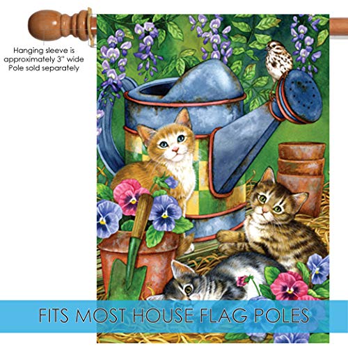 Toland Home Garden 101178 Garden Kitties Cat Flag 28X40 Inch Double Sided For Outdoor Kitten House Yard Decoration #TOP2