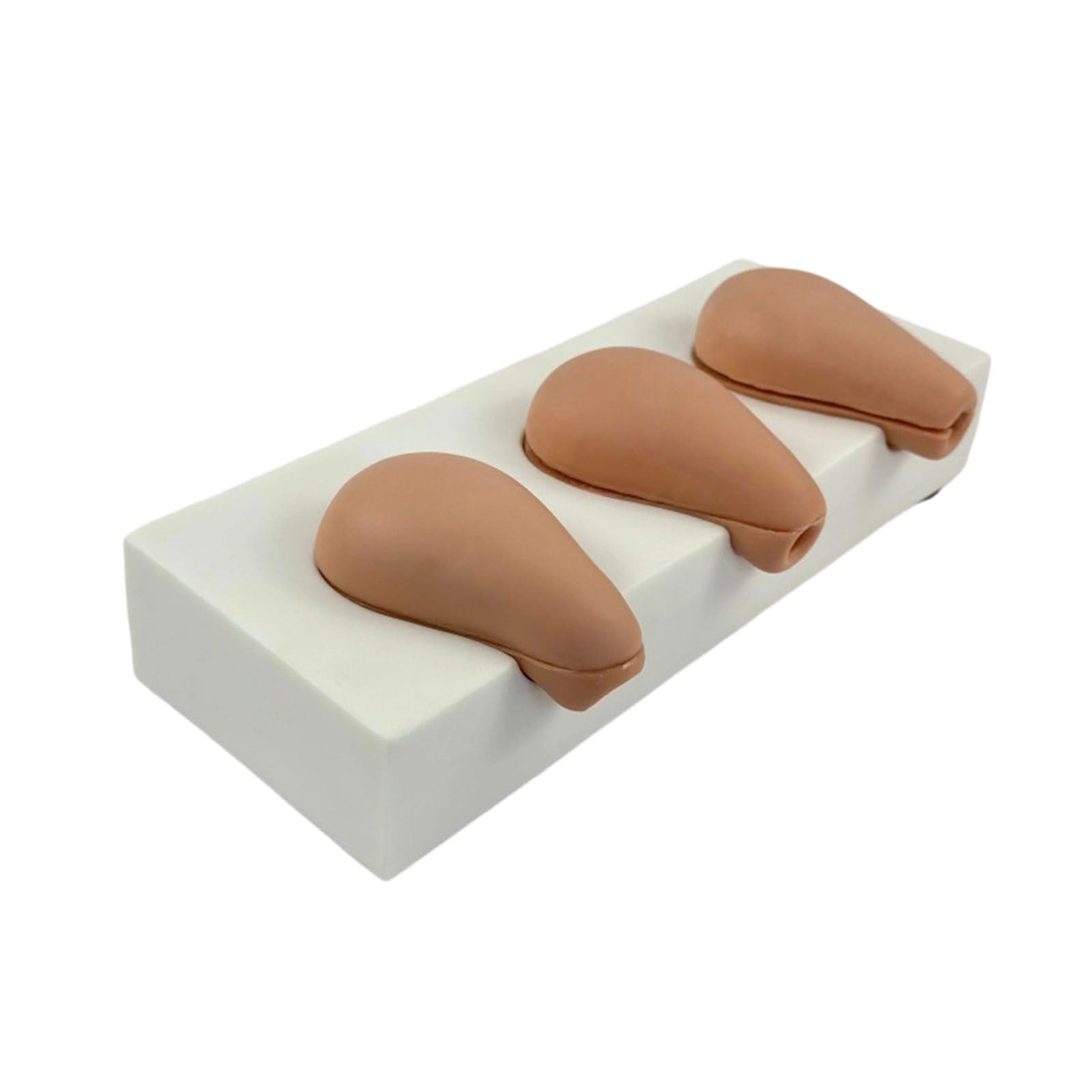 Kit professionale per anatomia uterina, strumento di texture in PVC per lo sviluppo delle abilità chirurgiche, strumenti di allenamento ginecologici