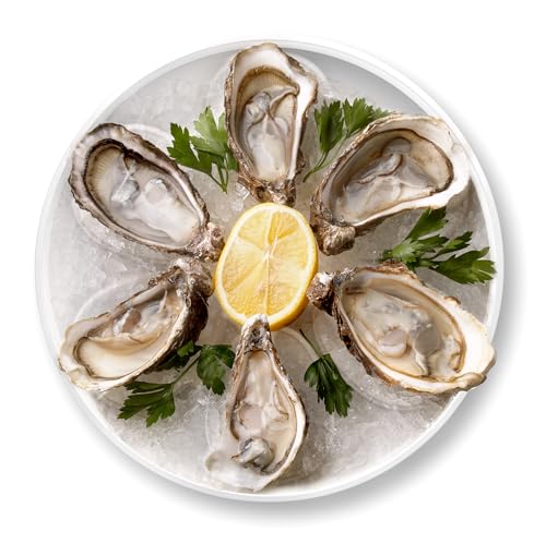 Catálogo de Platos para ostras - solo los mejores. 12 Imagen adicional
