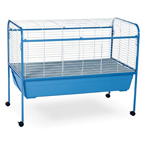 25 Best Hedgehog Cages in 2020 (Buying Guide & Reviews & FAQs)