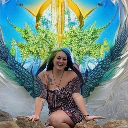 Couverture de Understanding the Universe