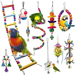 Bojafa Bird Parrot Toys, Budgie Toys 10-Pack Bird Parrot Ladder Hanging Bell Swing Cage Toys- Budgie, Cockatiel, Conure…
