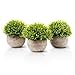 Aibesser Sztuczna roślina doniczkowa, sztuczna zielona trawa z doniczką, 3-częściowy zestaw plastikowych roślin dekoracyjnych bonsai, idealna do biura, na balkon, dekoracja stołu i do użytku na zewnątrz, prezent na Dzień Matki