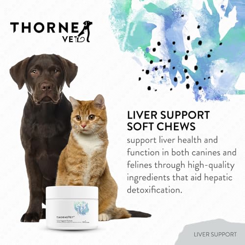 ThorneVET-Liver-Support--Liver-Support-for-Small-Animals-Dogs-Cats-90-Soft-Chews - Cucciolini Doodles   ThorneVET-Liver-Support--Liver-Support-for-Small-Animals-Dogs-Cats-90-Soft-Chews