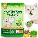 JSBNQRMZ Katzengras Snack,80g Gefriergetrocknet Snacks für Katzen,Knuspersnacks für Katzen Leckerlis zur Haarballen-Entfernung und Zahnpflege, Proteinreich, Getreidefrei, mit Omega-3 für alle Katzen