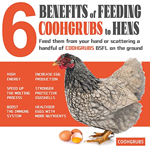 La Mejor review de Cajas para conservar alimentos que Puedes comprar On-line. 19 Imagen adicional