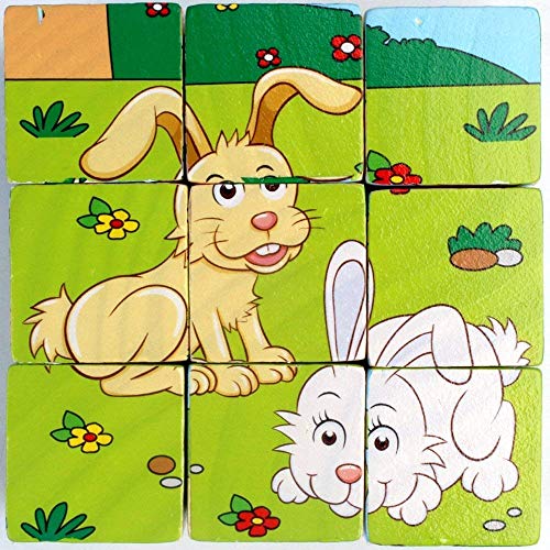 Image of FunBlast 6-in-1 Wooden Block Puzzle for Kids, 9-Pcs Colorful Wooden Block Toy for Kids, Picture Puzzle- Multi Color
