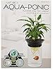 Penn-Plax (APON1) Aquaponic Planter and Aquarium for Betta Fish Tank Promotes Healthy Hydroponic Environment for Plants and Fish #2