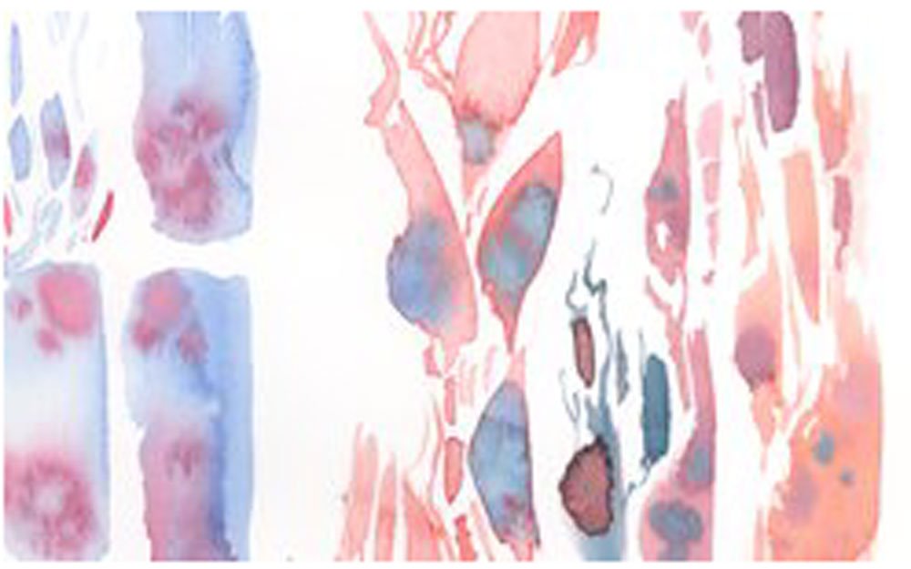 Princeton Pinceau d'artiste Neptune, pinceaux pour aquarelle série 4750, plume écureuil synthétique, taille 8