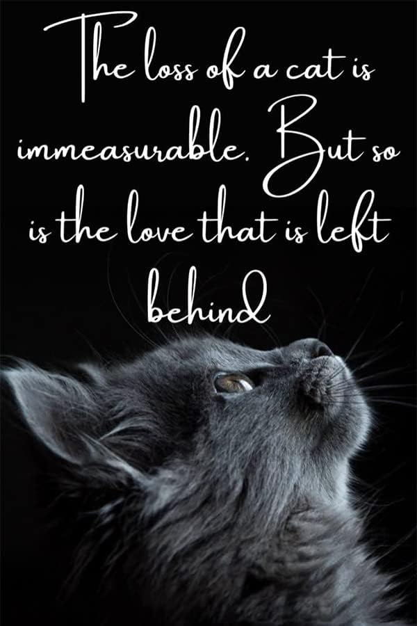 Black Cat On White Moon Stained Glass Window Hangings Ornament,Cat Memorial Gifts, Themed Gifts for Cats Lovers - Image 7