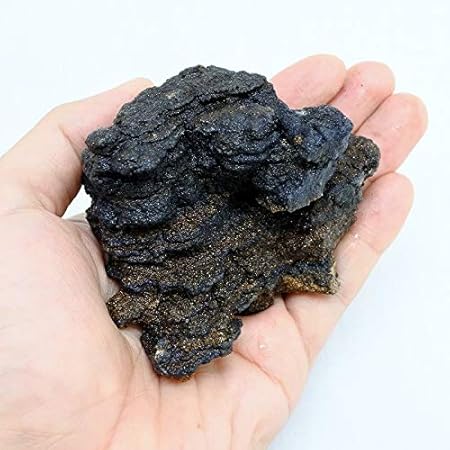 Amazon Co Jp コケのインテリア コケリウム テラリウム コケリウム 石 天然石 暗黒石s 形状お任せ ペット用品