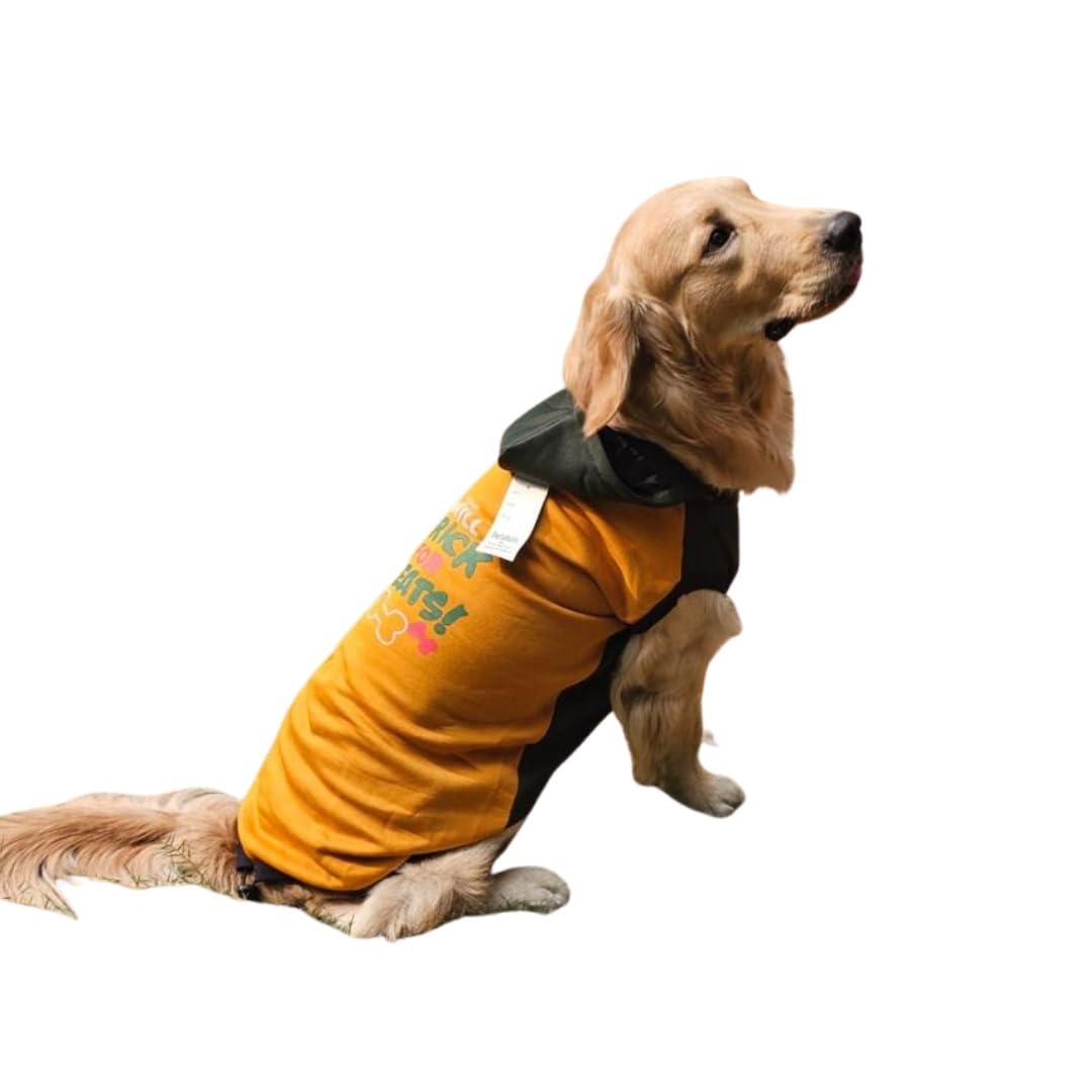 PetaPuppies Dog Sweater- Fleece Winter Sweater- Cold Weather Protection - Wind Proof - Soft and Warm Thick Padded Dog Winter Sweaters - Stretchable Sweaters for Dog - Yellow - Size-20 (B0CN3R5PMS) Amazon Price History, Amazon Price Tracker