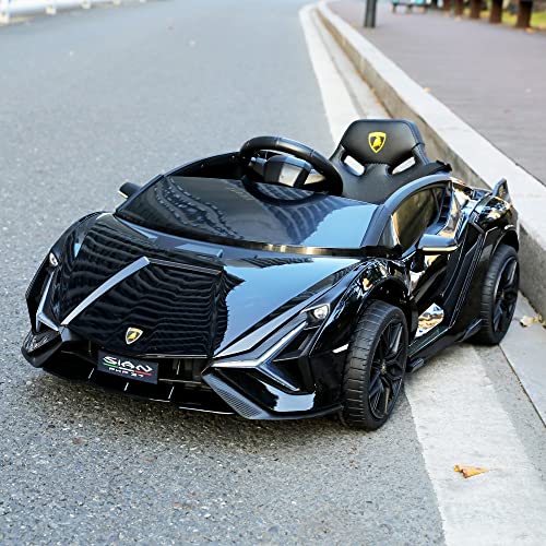 VUVUINC Lamborghini Sian ランボルギーニ 特別Equipment MAX ver. ラッカーブラックサムネイル6