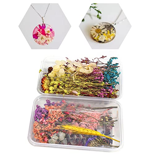 Flores Secas Resina Mezcladas Naturales Decorativas 2PCS miniatura 3