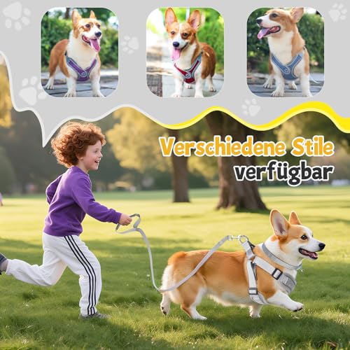 3 Stück Hundegeschirr und Leine Set, Verstellbares Brustgeschirr, Reflektierendes atmungsaktives Hundegeschirr mit D-Ring, Hundegeschirrs Set für Welpen, Kleine Hunde
