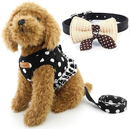 Cute Small Dog Harness, Ladies Polka Dots Dog Vest Harness Set with Pink Leash and Bowknot Collar, 3 in 1 Girl Style Vest Harness Set for Puppy and Cat (S (Chest: 10-12"), Black)