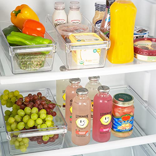 Kitchen Details 2 Pack Slim Refrigerator Storage Bin | Fridge & Freezer | Kitchen Organization | Stainless Steel Handle | Countertop | Cabinets | Pantry | Clear #TOP4