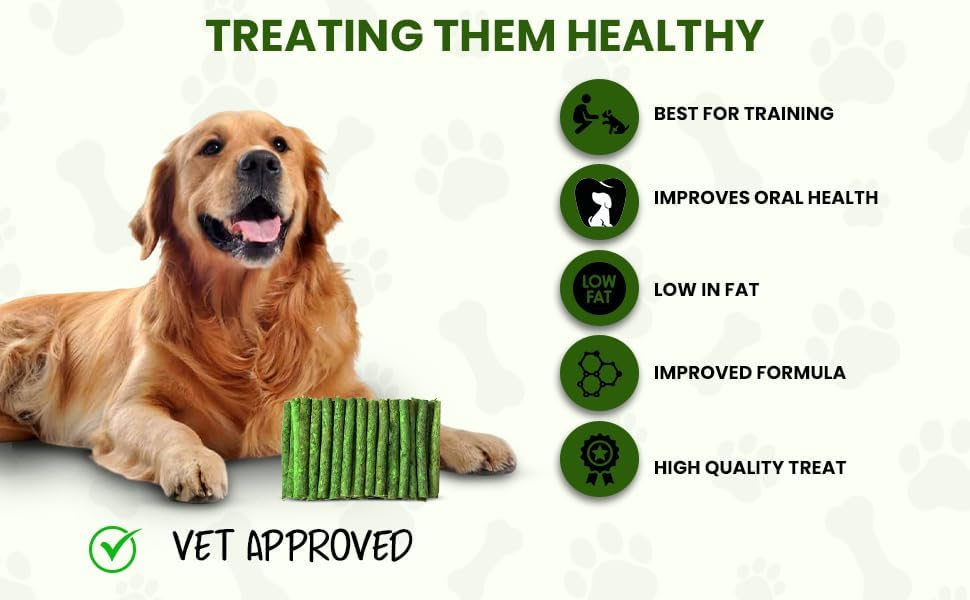 Dog Trust Chew Sticks Munchy Mint Flavour Green Veg Munchies 1000gTreat Dog Food Treat for Puppy Puppies Pet Cat Highly Nutritional & Digestible (1000g of 1)
