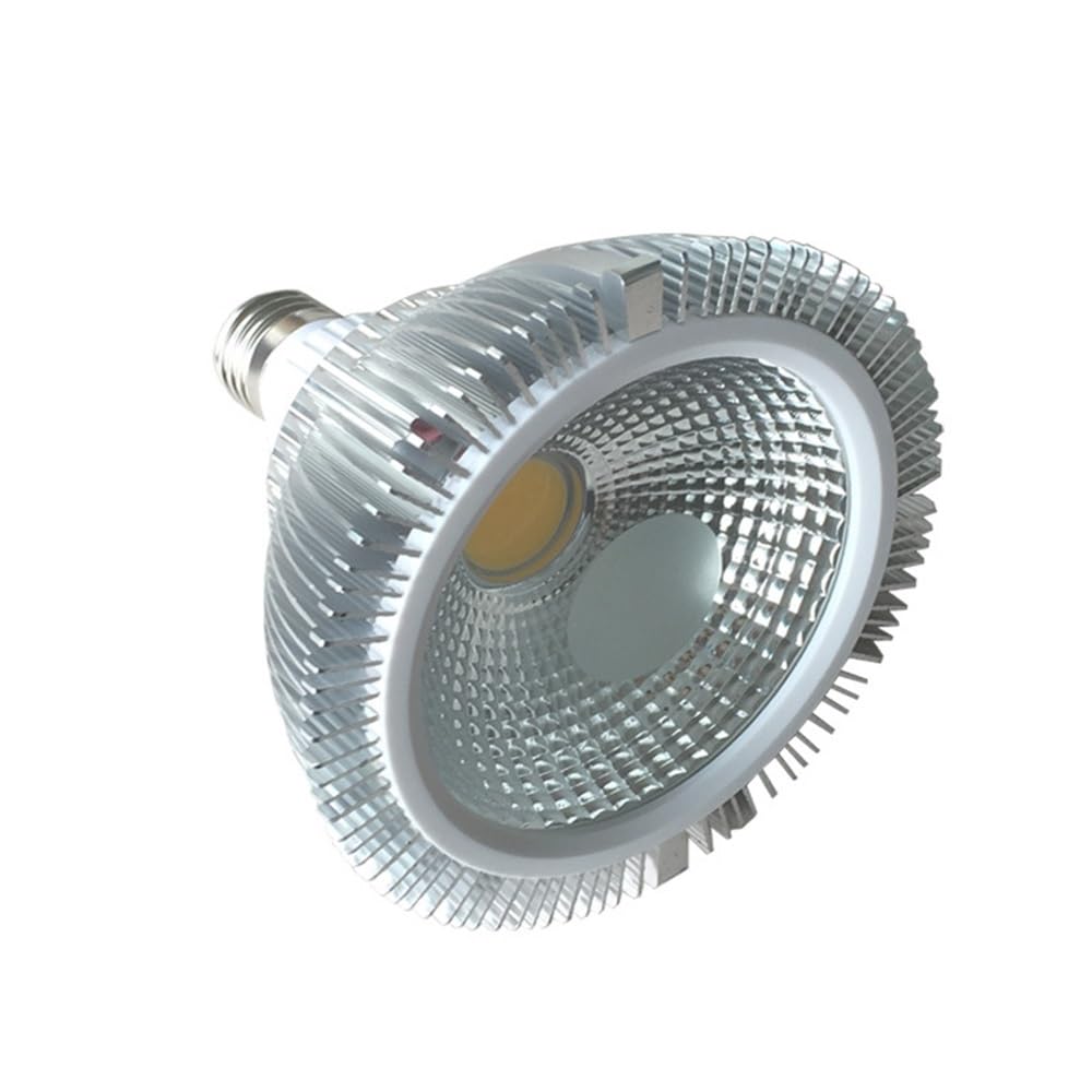 RZL Éclairage, Lot de 4 spots LED COB, E27 12 W AC85~265 V, ampoule PAR38 en aluminium(Natural white)