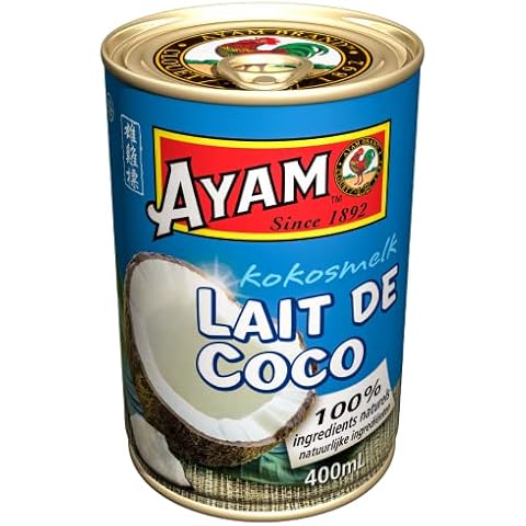Lait de Coco AYAM 400ml Cover