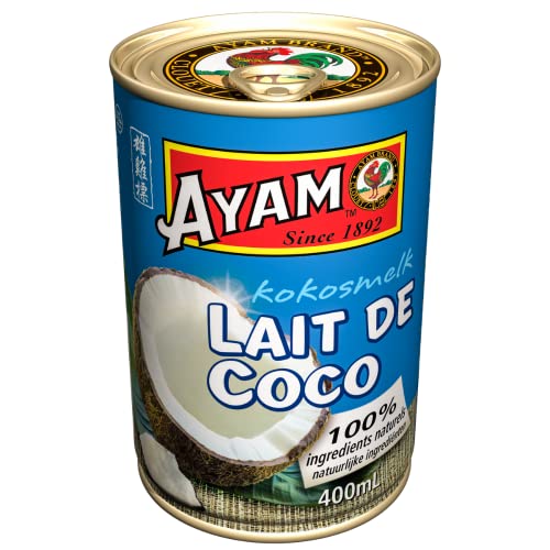  AYAM Lait de Coco | 100% Ingrédients Naturels ...
