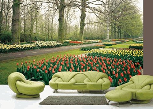 Huge Photo Wall Mural 12 Feet 6 Inch Wide X 9 Feet High Covers an Entire Wall! Tropical Beaches, Waterfalls, Mountains, Nature (Tulips Garden Netherlands Wall Mural)