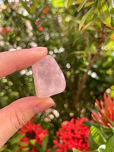 Image of 1 /2 LB Rose Quartz Tumbled Stones, Polished Rose Quartz Gemstone, Rose Quartz Healing Crystals (Rose Quartz)