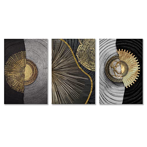 Black Fold Annual Rings Wall Art Abstract Black Gold White Pictures Wall Art Luxury Nordic Picture Tree Ring Prints Tree Stump Retro Abstract Paintings Tree Cross Section Art 16X24Inchx3 No Frame #TOP1
