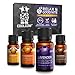 COOLCOW Relax & Good Nite - Set di 4 oli essenziali 15 ml, 100% puri per diffusori di aromaterapia, oli essenziali naturali, lavanda, camomilla, legno di cedro, incenso - sollievo dallo stress