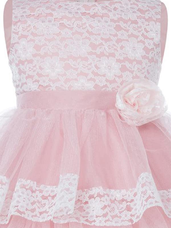 Image of Ripening Girl's Net /Satin Princess Birthday Dress Christmas Dress Unique Girls Boutique Dress Girl Lace Flower Kids Long Dresses Gown Pink
