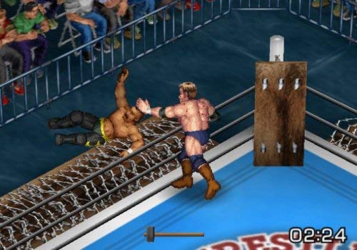 Fire Pro Wrestling Returns - PlayStation 2 (Renewed)