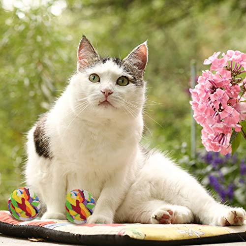 ULTECHNOVO 10 Peças de Espuma Bolas De Futebol Brinquedos Do Gato Esponja Rainbow Bolas Interativas