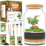 PYEF CRAFTS DIY Kit Terrarium Plante XL avec Verre 4L   Terrarium Verre   Kit DIY a Faire Pousser pour Jardin en Bouteille   (sans Plante)