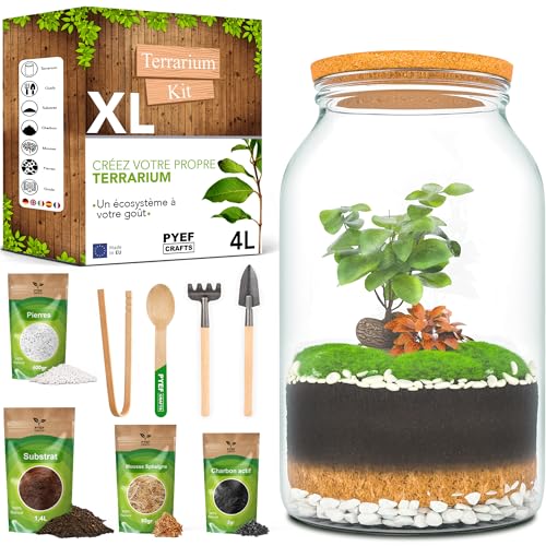 PYEF CRAFTS DIY Kit Terrarium Plante XL avec Verre 4L - Terrarium Verre - Kit DIY a Faire Pousser pour Jardin en Bouteille - (sans Plante)