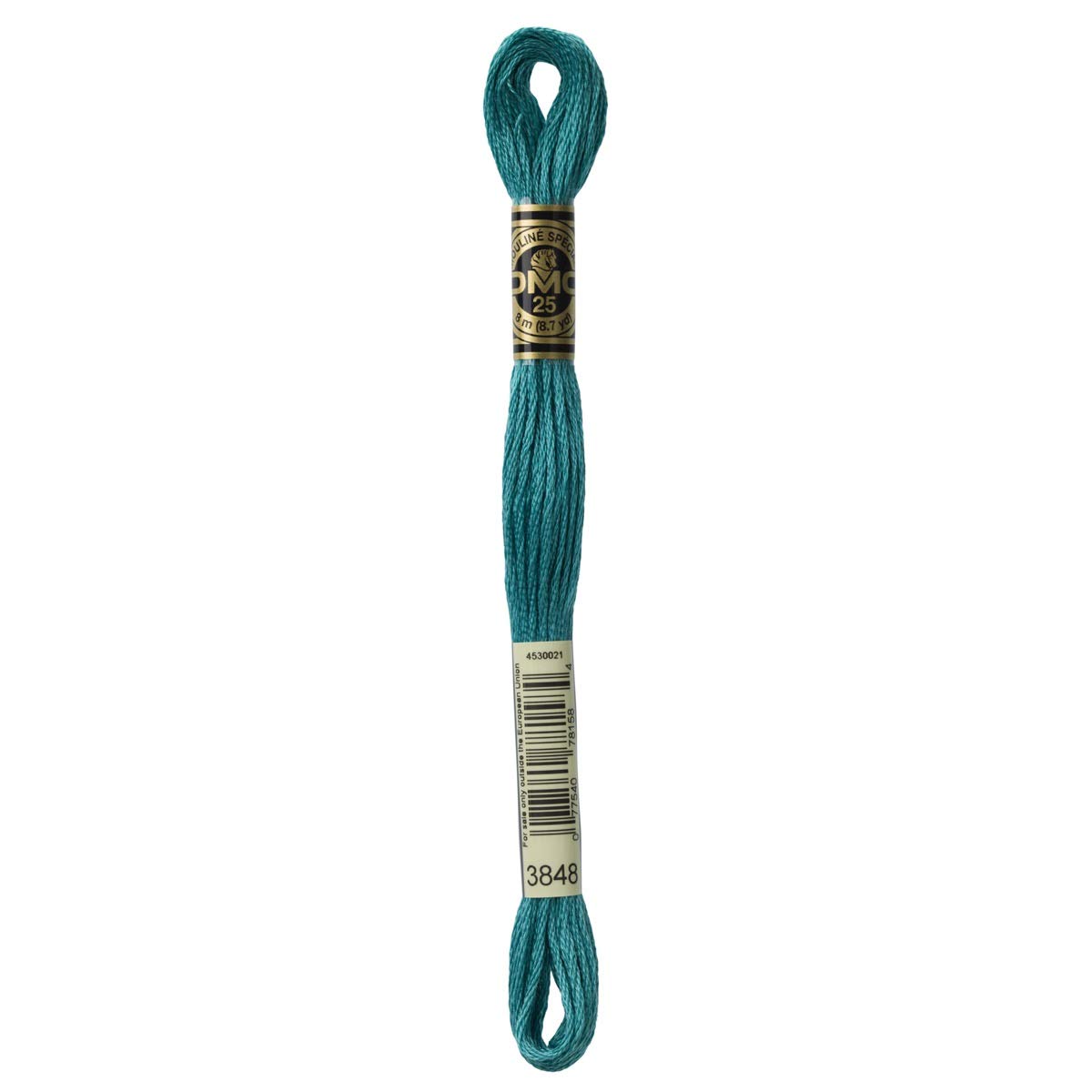 DMC Embroidery Floss Mouline Stranded Cotton Thread for Hand Embroidery and Sewing - Colour No: 3848-12 x 8m Skeins โ image 1