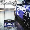 Paradise Air Platinum Car Air Freshener Can, Long-Lasting 100 Day Fragrance, Extra Strong Odour Eliminator for Car Interior Home or Office - 12 Pack Assorted Scents Mix #5