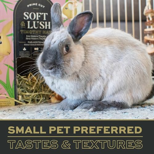 Oxbow Prime Cut Soft & Lush Timothy Hay, Premium Rabbit & Guinea Pig Hay, High Fiber Small Pet Food for Rabbits, Bunnies, Guinea Pigs & Chinchillas, Supports Dental Health, 20oz Bag