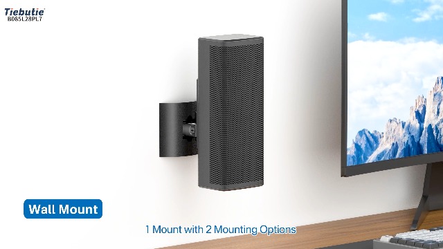 BOSE - papayaily Amazon.com: Tiebutie Angle Adjustable Speaker Wall Mount for