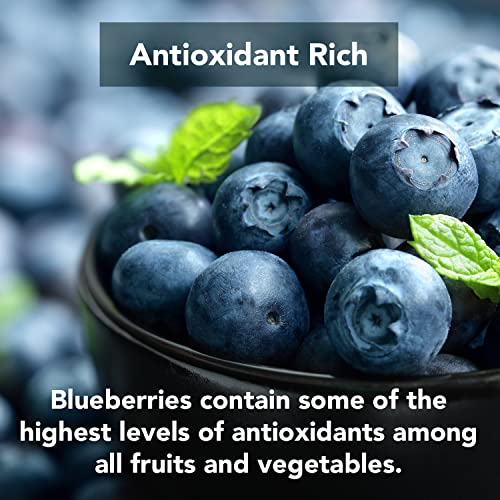100% Pure Wild Blueberry Powder | Rich In Antioxidants | Made With Canada Grade-A Wild Crafted Blueberries, Perfect For Smoothies, Snacks & Baking (8 Oz) #TOP2