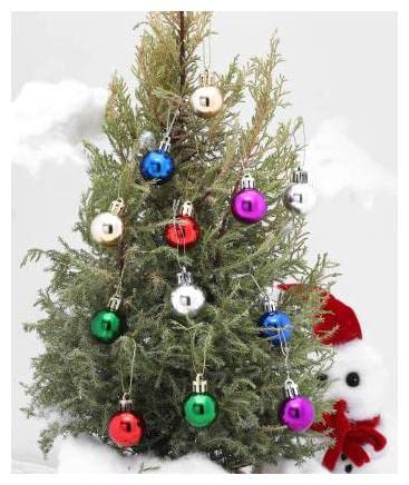 Image of 24 Multi Christmas X-Mass Tree Decoration Balls Hangings Ornaments Merry Ball Bauble Decoration for Home Party (24 Multi Colour)