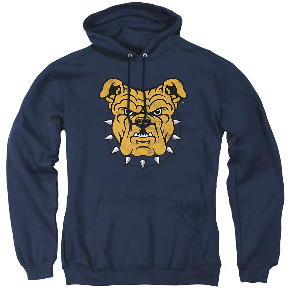 LOGOVISION Official Collegiate Distressed Primary Logo Adult Pullover Hoodie Collection — view 286