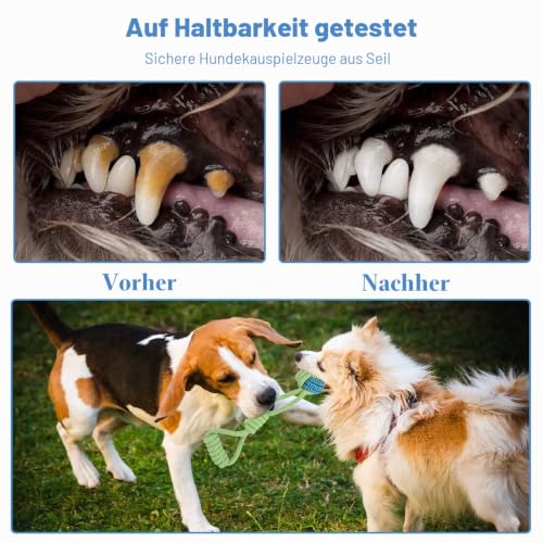 BUYGOO Kauspielzeug Set aus Baumwollseil für Haustiere 6 Stück